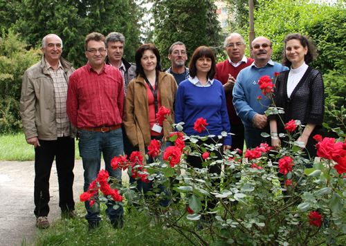 echipa implementare